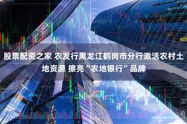 股票配资之家 农发行黑龙江鹤岗市分行激活农村土地资源 擦亮“农地银行”品牌
