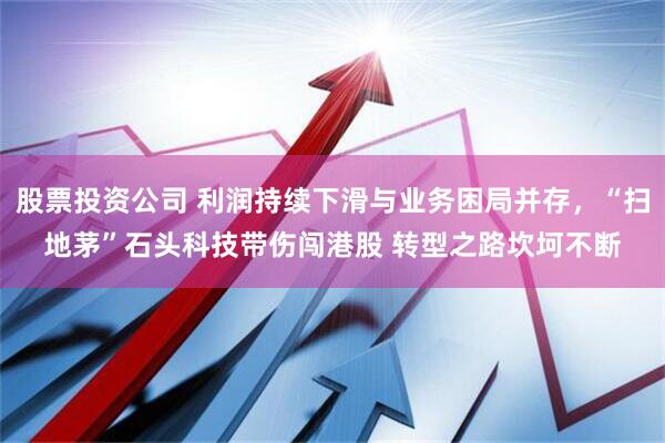 股票投资公司 利润持续下滑与业务困局并存，“扫地茅”石头科技带伤闯港股 转型之路坎坷不断