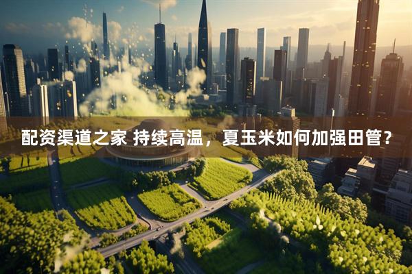 配资渠道之家 持续高温，夏玉米如何加强田管？
